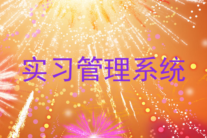 实习管理系统