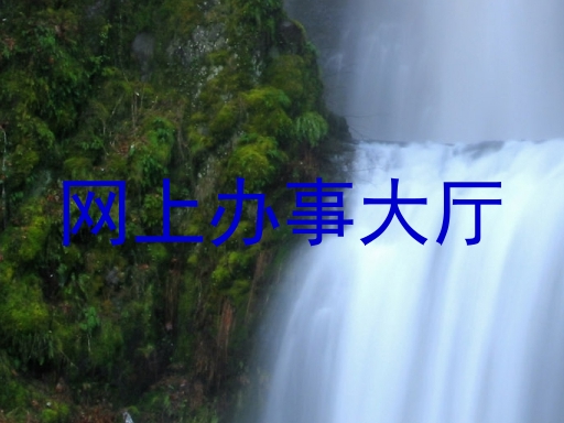 网上办事大厅