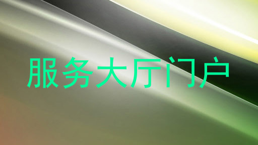 服务大厅门户