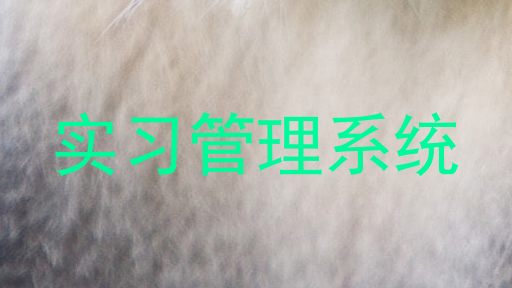 实习管理系统