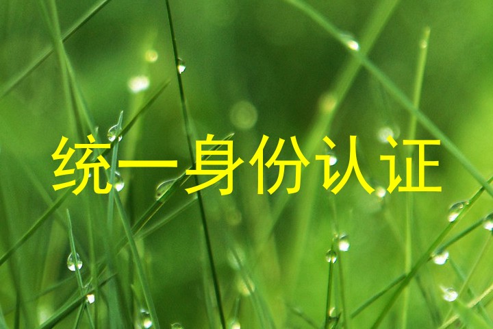 统一身份认证