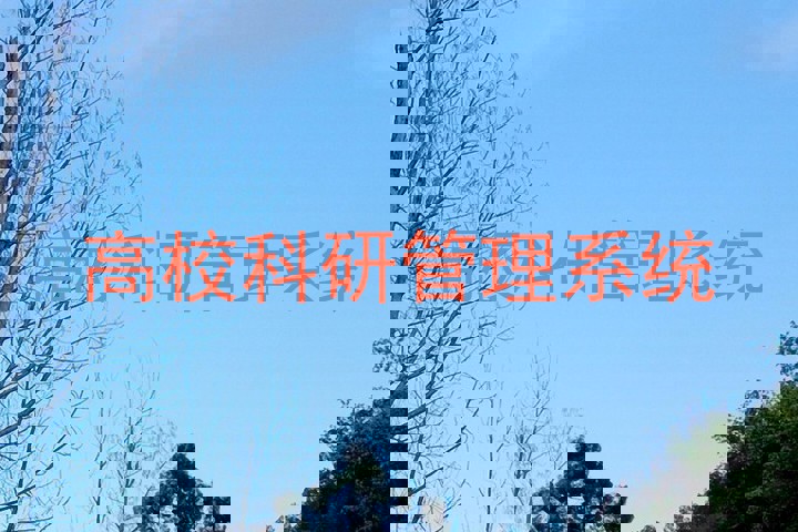 高校科研管理系统