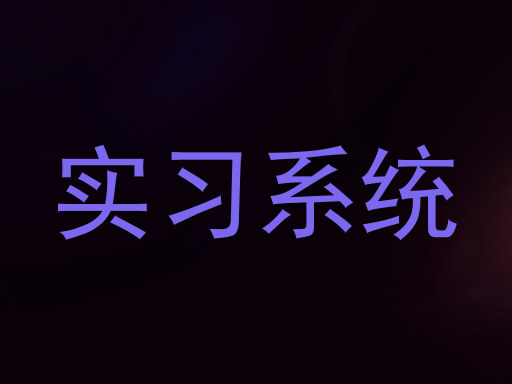 实习系统