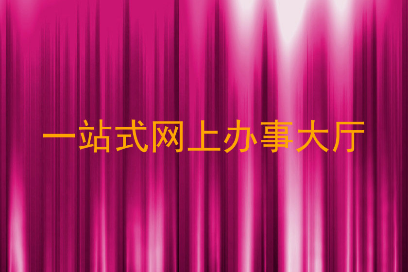 一站式网上办事大厅
