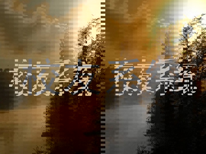 校友系统