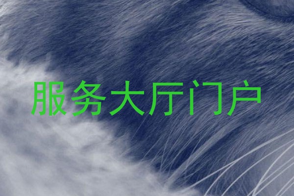 服务大厅门户