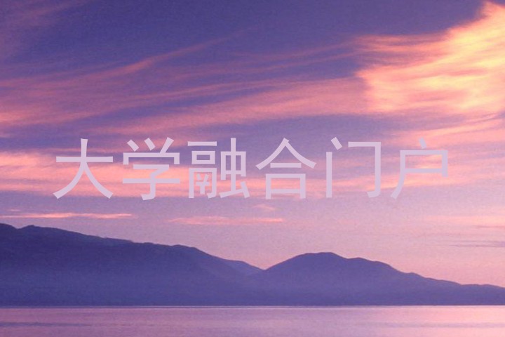 大学融合门户