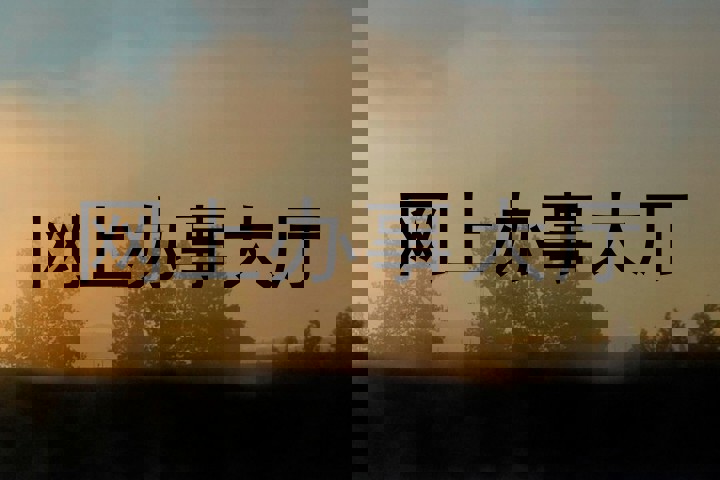 网上办事大厅