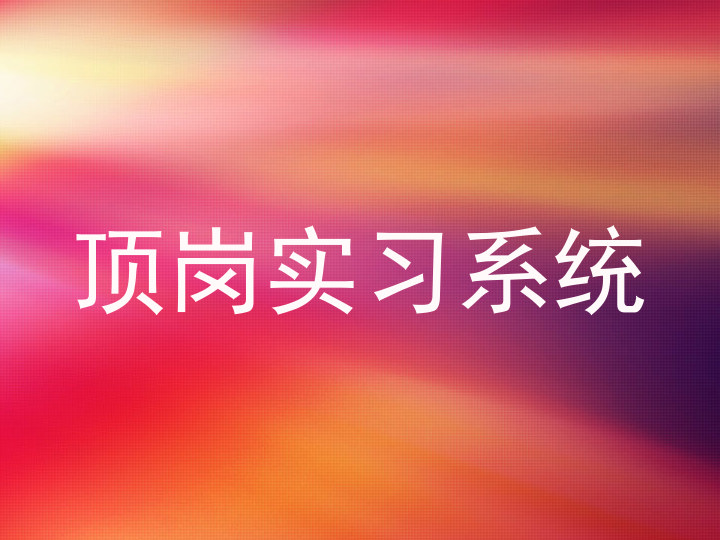 顶岗实习系统
