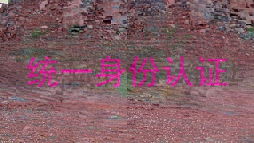 统一身份认证