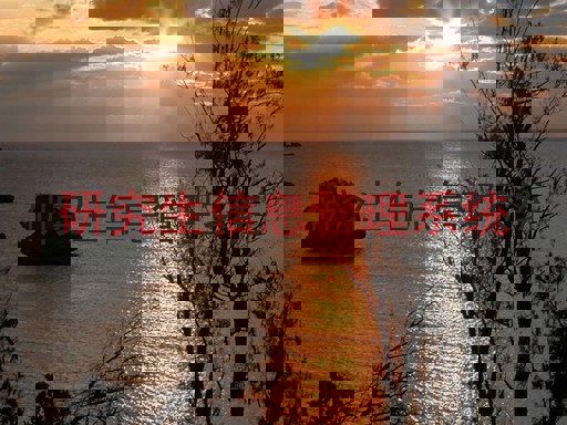 研究生信息管理系统