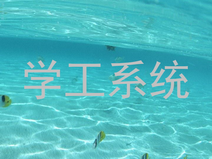 学工系统