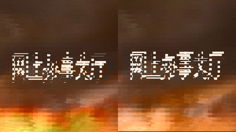网上办事大厅