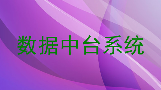 数据中台系统