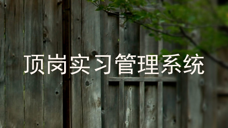 顶岗实习管理系统