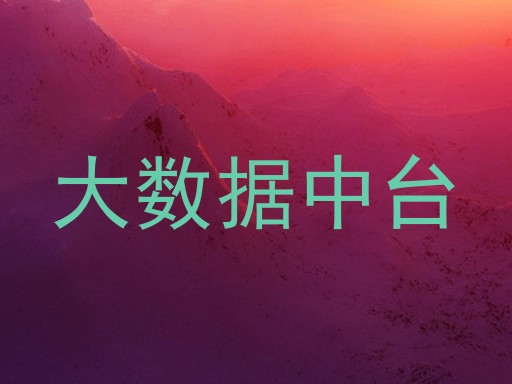 大数据中台