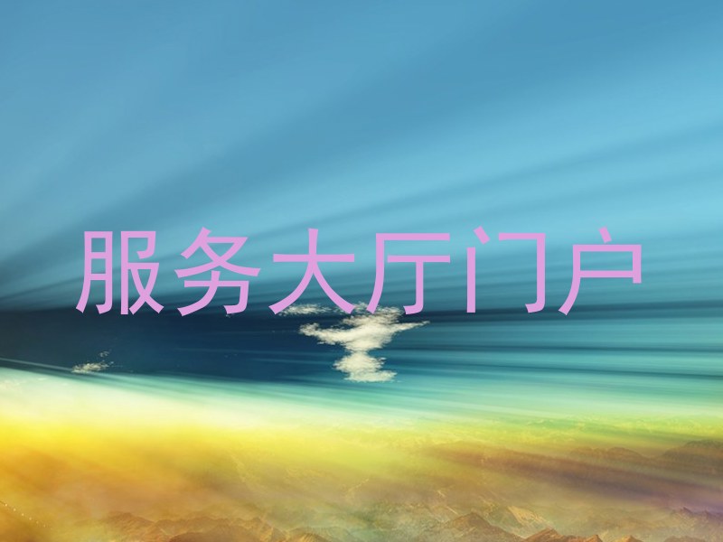 服务大厅门户