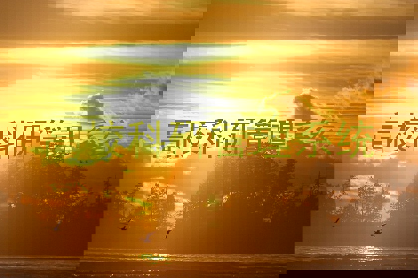 高校科研管理系统