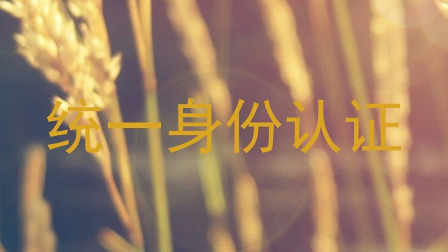 统一身份认证