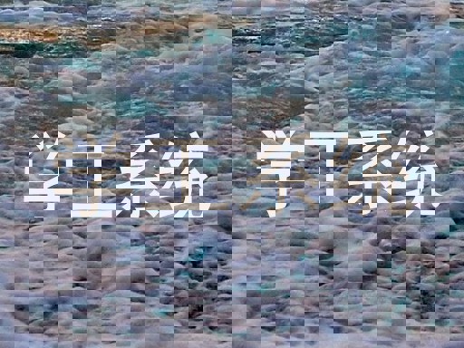 学工系统