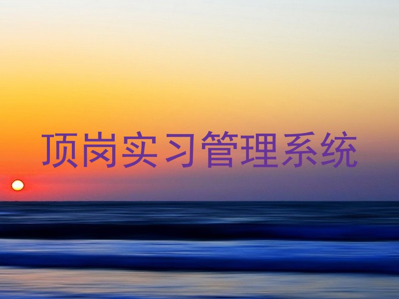 顶岗实习管理系统