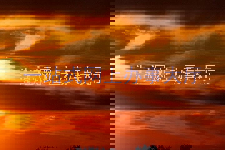 一站式网上办事大厅