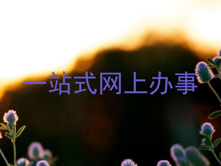 一站式网上办事