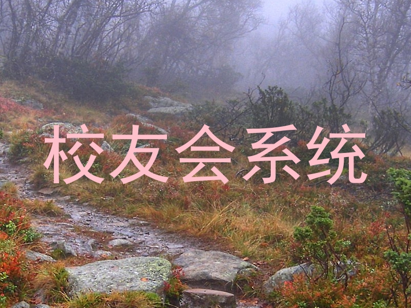 校友会系统