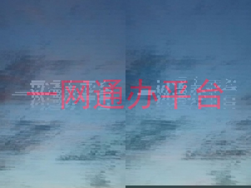 一网通办平台