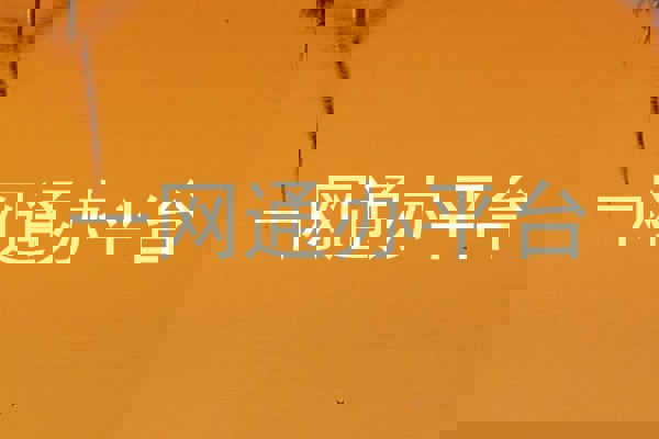 一网通办平台