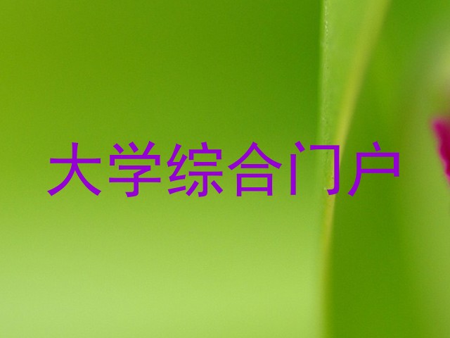 大学综合门户