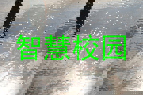 智慧校园