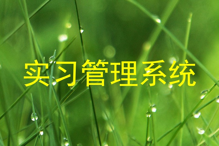 实习管理系统