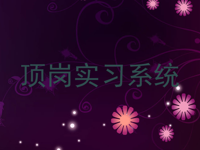 顶岗实习系统