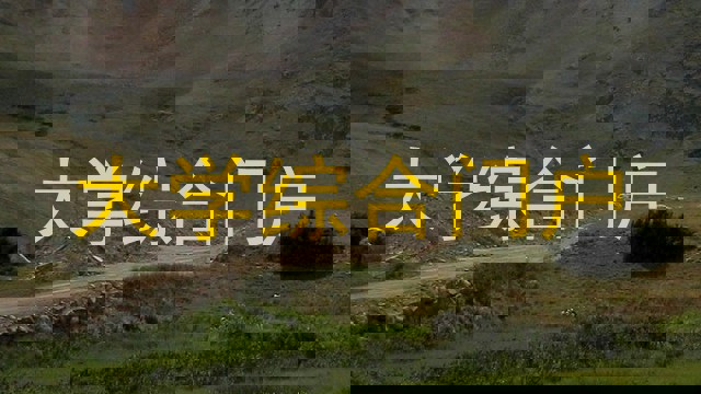 大学综合门户