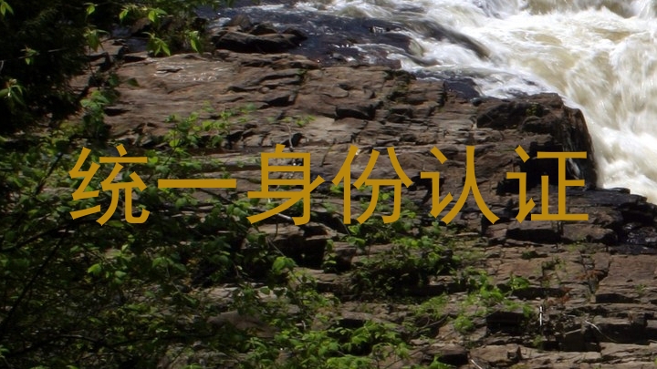 统一身份认证