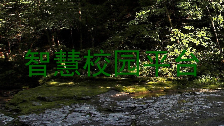 智慧校园平台