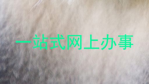 一站式网上办事