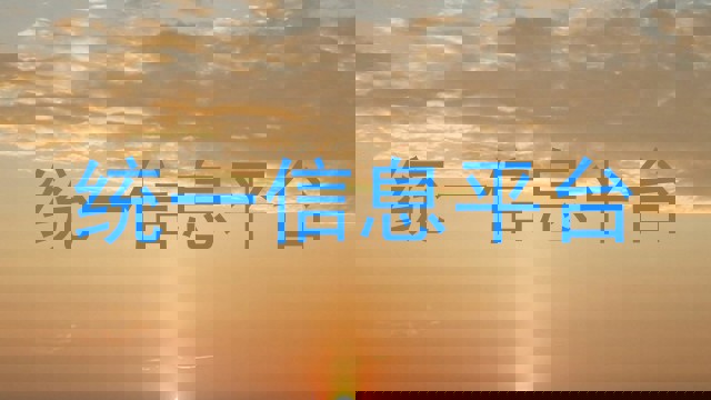 统一信息平台
