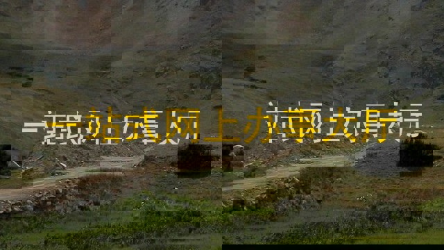 一站式网上办事大厅