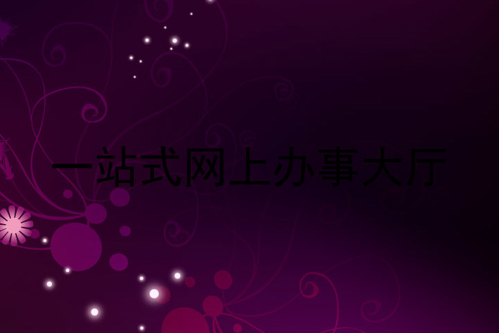 一站式网上办事大厅