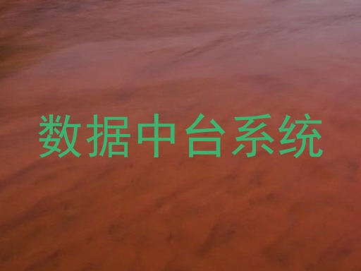 数据中台系统