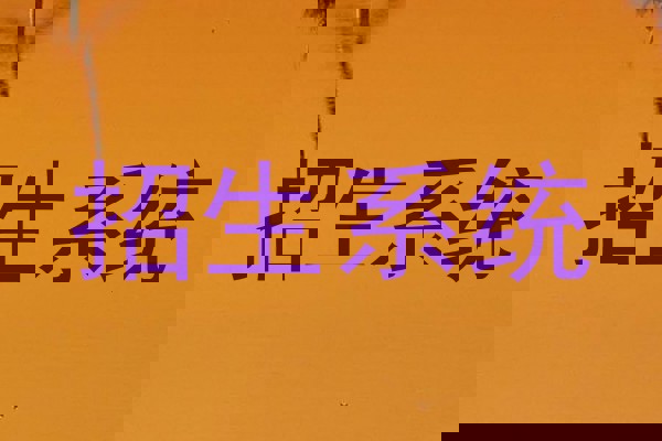 招生系统