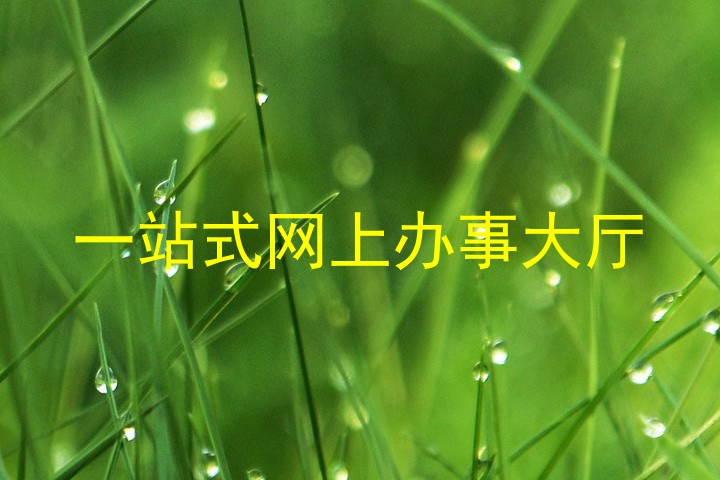 一站式网上办事大厅