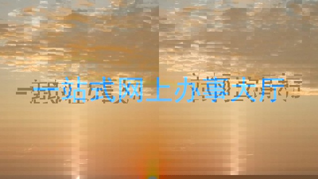 一站式网上办事大厅