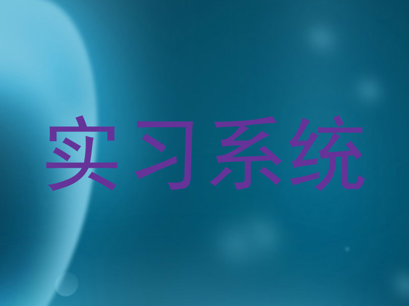 实习系统