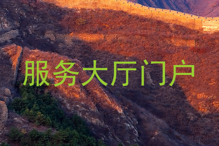 服务大厅门户