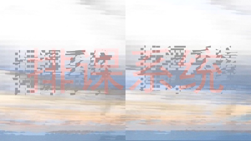 排课系统
