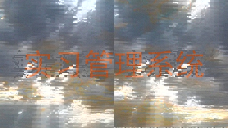 实习管理系统