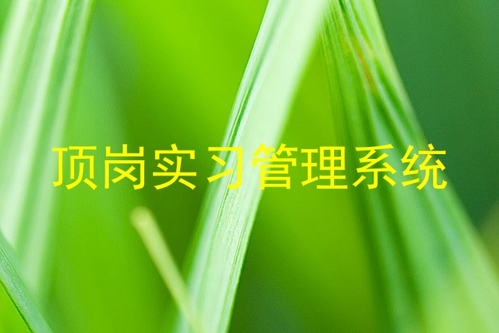 顶岗实习管理系统